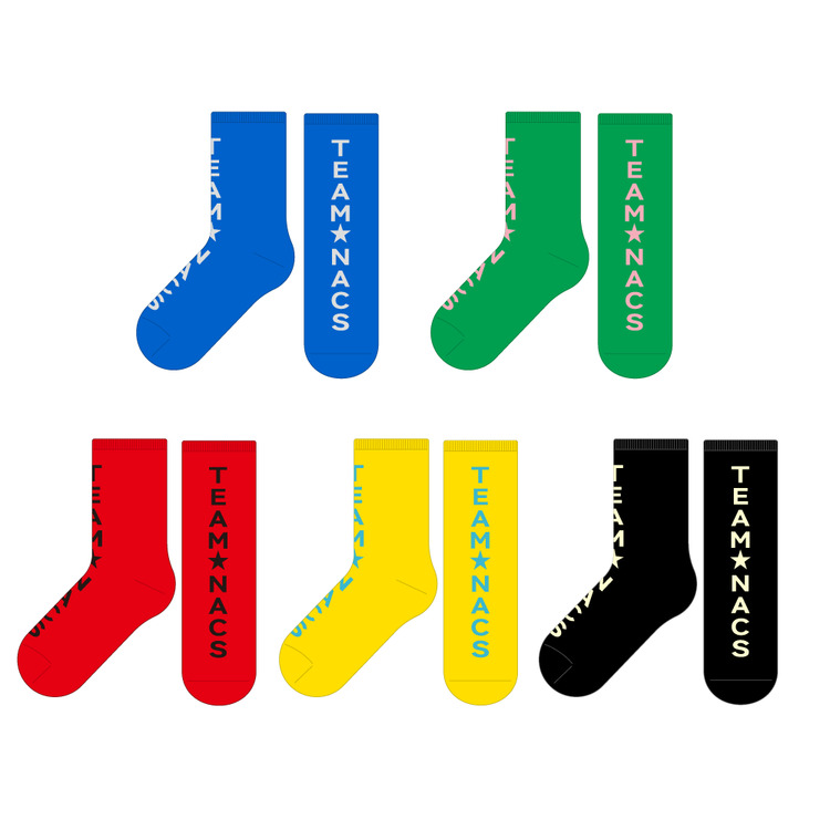 TEAM★SOCKS(5色セット)Lサイズ