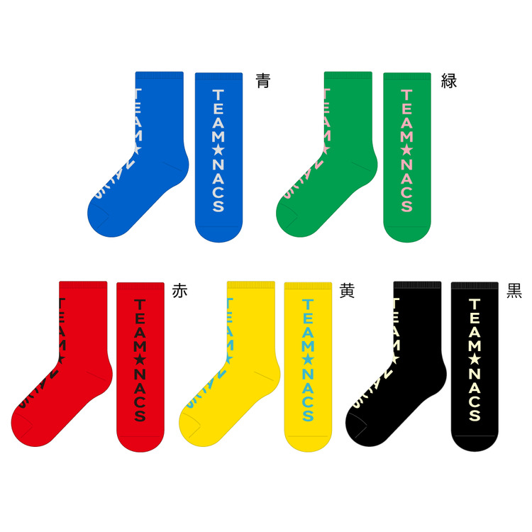 TEAM★SOCKS(5色セット)Lサイズ