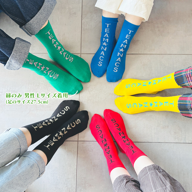 TEAM★SOCKS(単品)Lサイズ