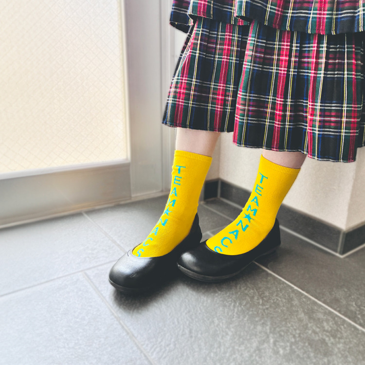 TEAM★SOCKS(単品)Lサイズ