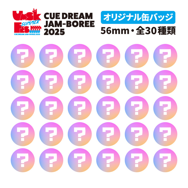 CDJ2025 缶バッジ コンプリートセット(全30種)