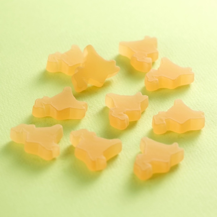 大泉洋リサイタル2 オオイグミヨウリサイタル2(トレカ付き)