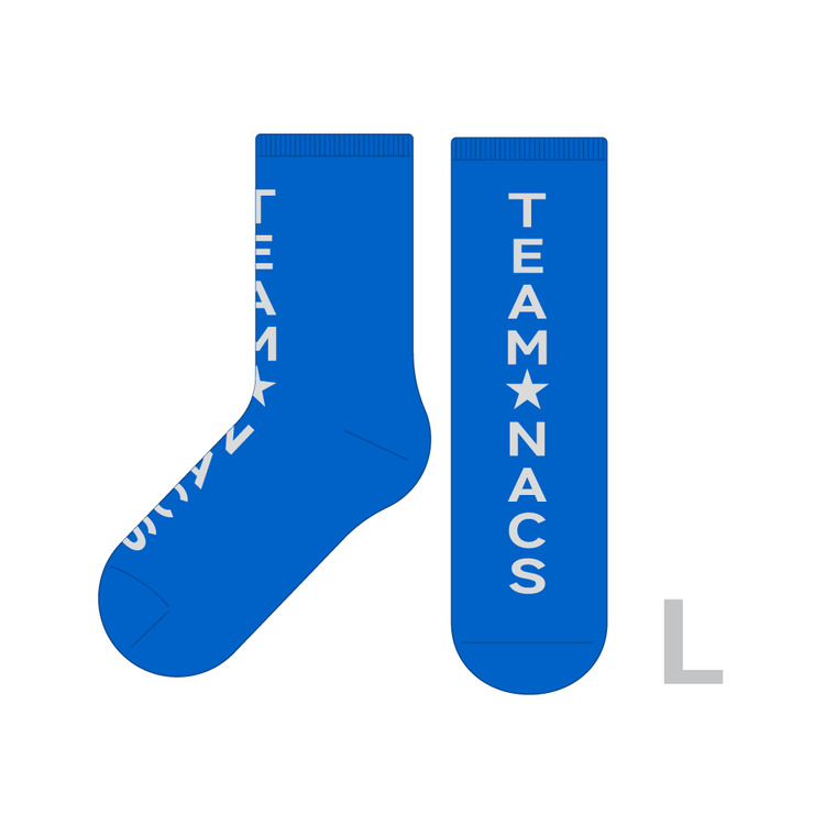 TEAM★SOCKS(単品)Lサイズ